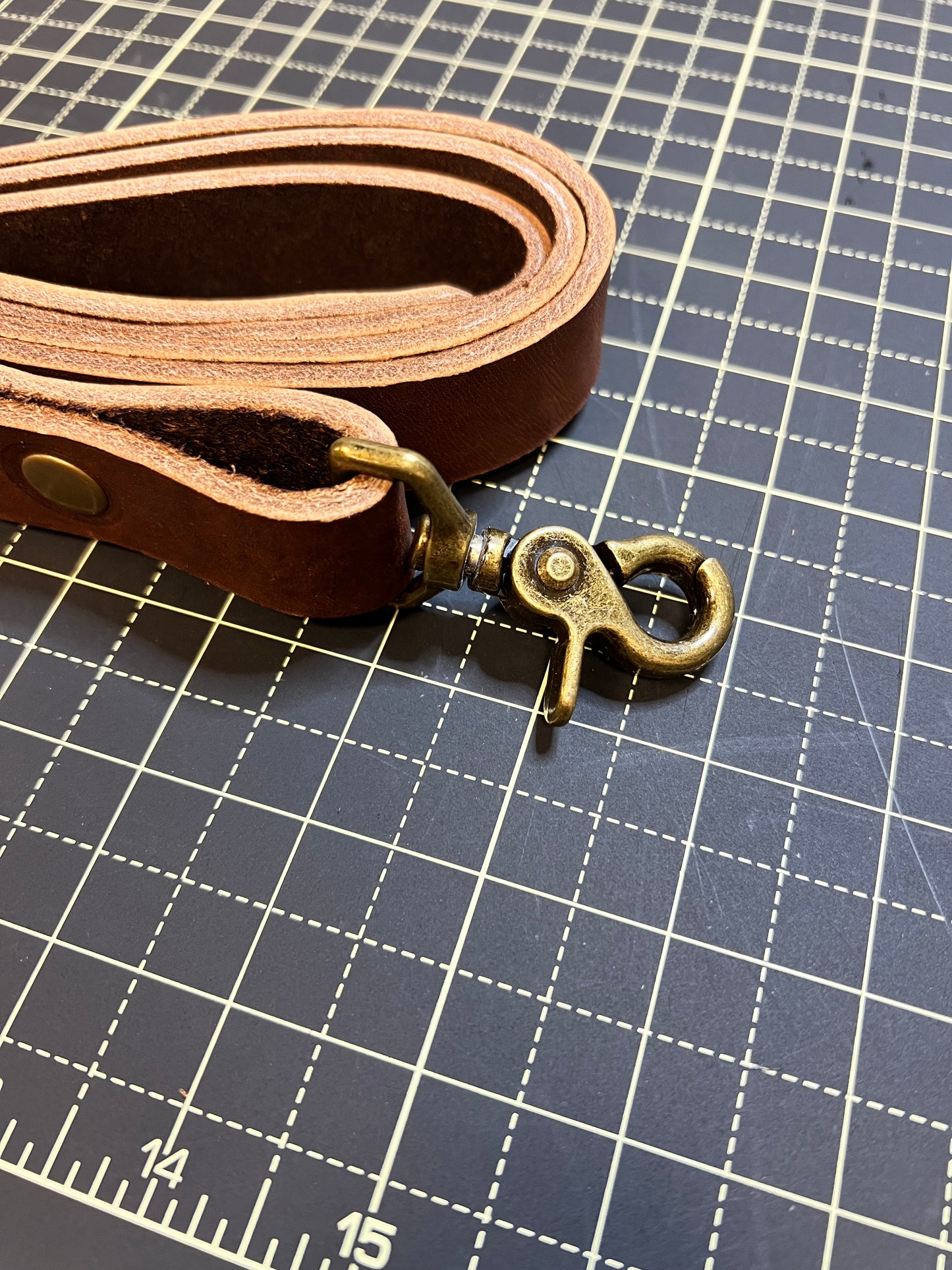 Dog Leash Brown